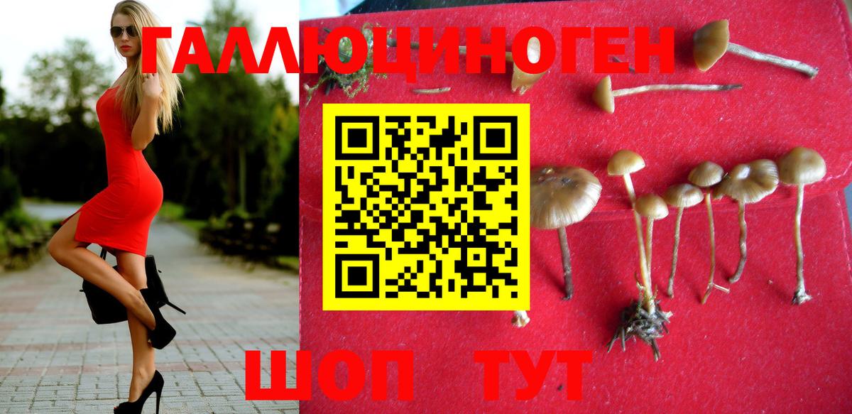 Галлюциногенные грибы Magic Shrooms  Вход с VPN  Шарыпово 